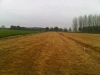 img-20121112-wa0003