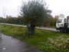 img-20121112-wa0004