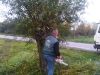 img-20121112-wa0005